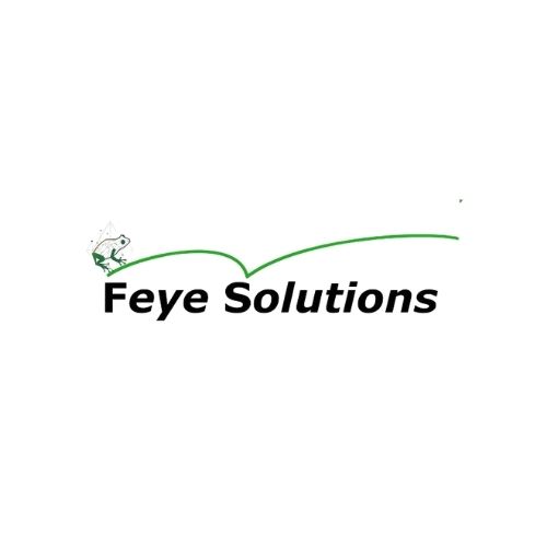 Feye Pro Feye Solutions - BetterBusiness — Sustainability at the heart of your ...